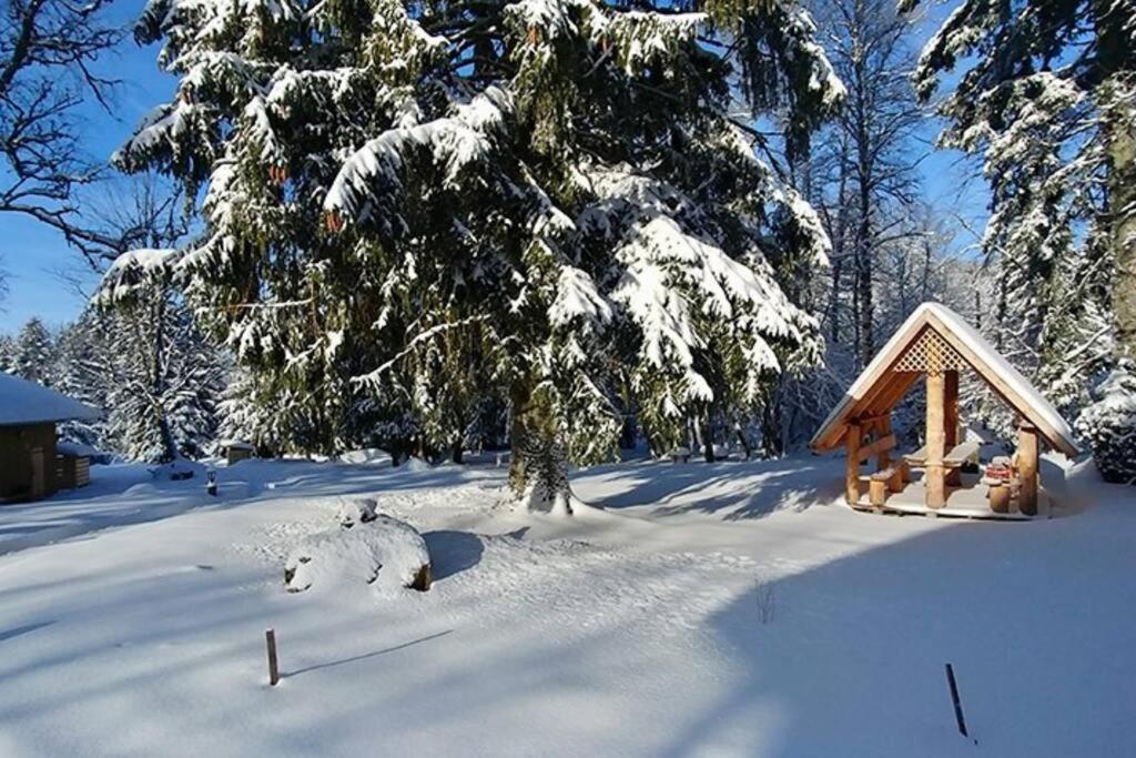 Le Petit Loup, Appartement Neuf Avec Jardin Gerbépal Exterior foto